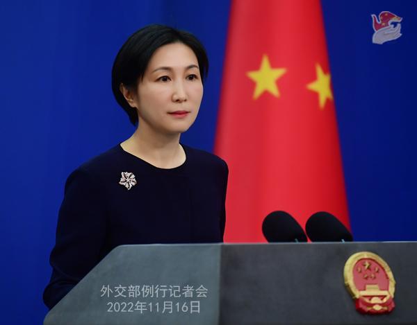 2022年11月16日外交部发言人毛宁主持例行记者会
