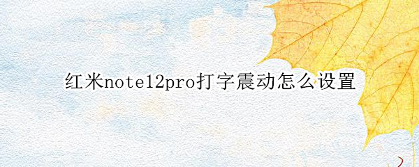 红米note12pro打字震动怎么设置 红米10pro打字震动怎么取消