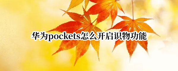 华为pockets怎么开启识物功能（pocket2华为share）