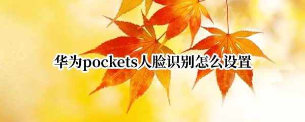 华为pockets人脸识别怎么设置 pocket2华为share