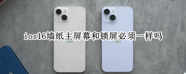 ios16墙纸主屏幕和锁屏必须一样吗（苹果壁纸锁屏和主屏幕）