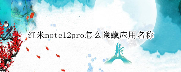 红米note12pro怎么隐藏应用名称 红米note10por怎么隐藏应用