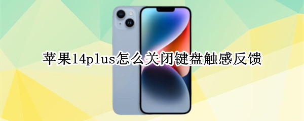 苹果14plus怎么关闭键盘触感反馈（ios14怎么关闭键盘）