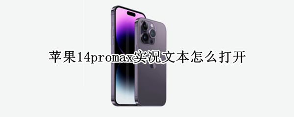 苹果14promax实况文本怎么打开