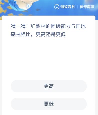 红树林的固碳能力与陆地森林相比更高还是更低？神奇海洋11月20日答案