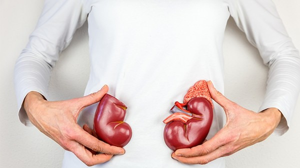 男人日常如何补肾 男人日常如何补肾