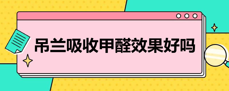 吊兰吸收甲醛效果好吗 吊兰吸收甲醛效果好吗视频