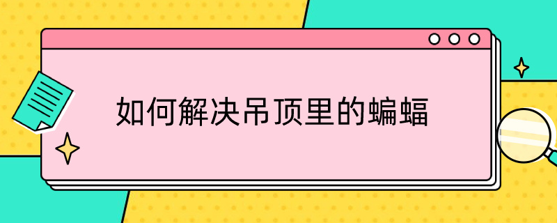 如何解决吊顶里的蝙蝠 怎么驱赶吊顶里的蝙蝠