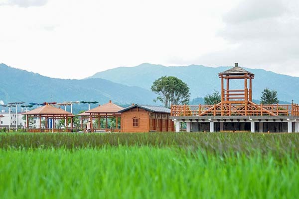 不小心买了集体土地证的房 集体土地怎么样才能变成国有土地 集体土地和国有土地的区别