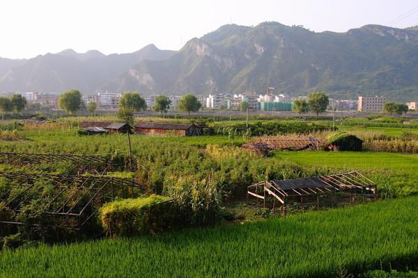 农村宅基地证在哪里办 农村宅基地证和土地证有什么区别 农村宅基地证怎么补办