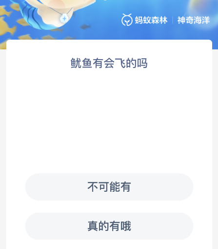 鱿鱼有会飞的吗？蚂蚁森林神奇海洋12月22日今天答案最新