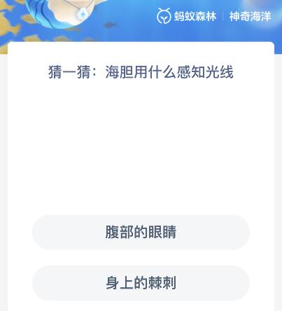 海胆用什么感知光线？蚂蚁森林神奇海洋12月28日今天最新答案