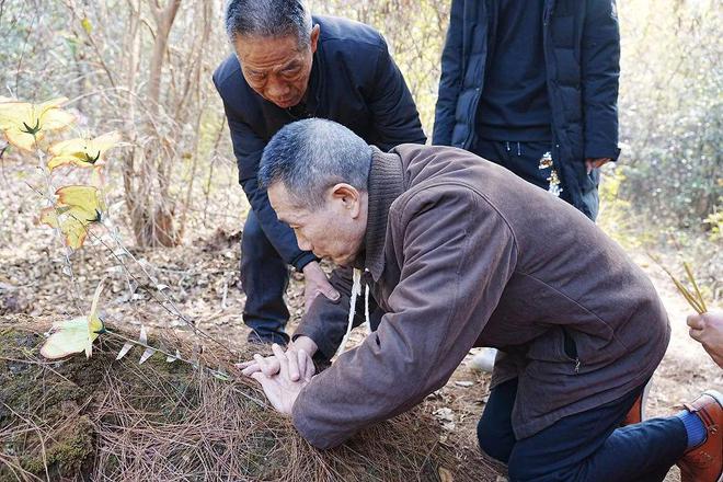 走失3天的海南2岁男童已找到，父亲：孩子很虚弱，已认不出父母  