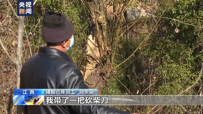 总台记者调查：胡某宇的尸体被发现现场情况