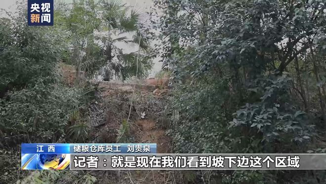 总台记者调查：胡某宇的尸体被发现现场情况