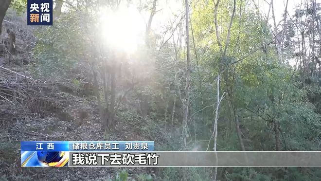 总台记者调查：胡某宇的尸体被发现现场情况