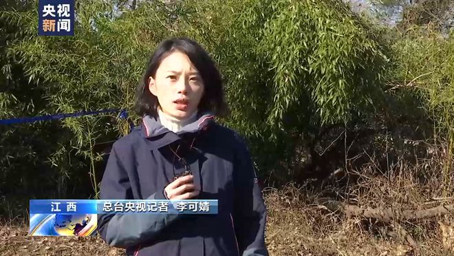 总台记者调查：胡某宇的尸体被发现现场情况
