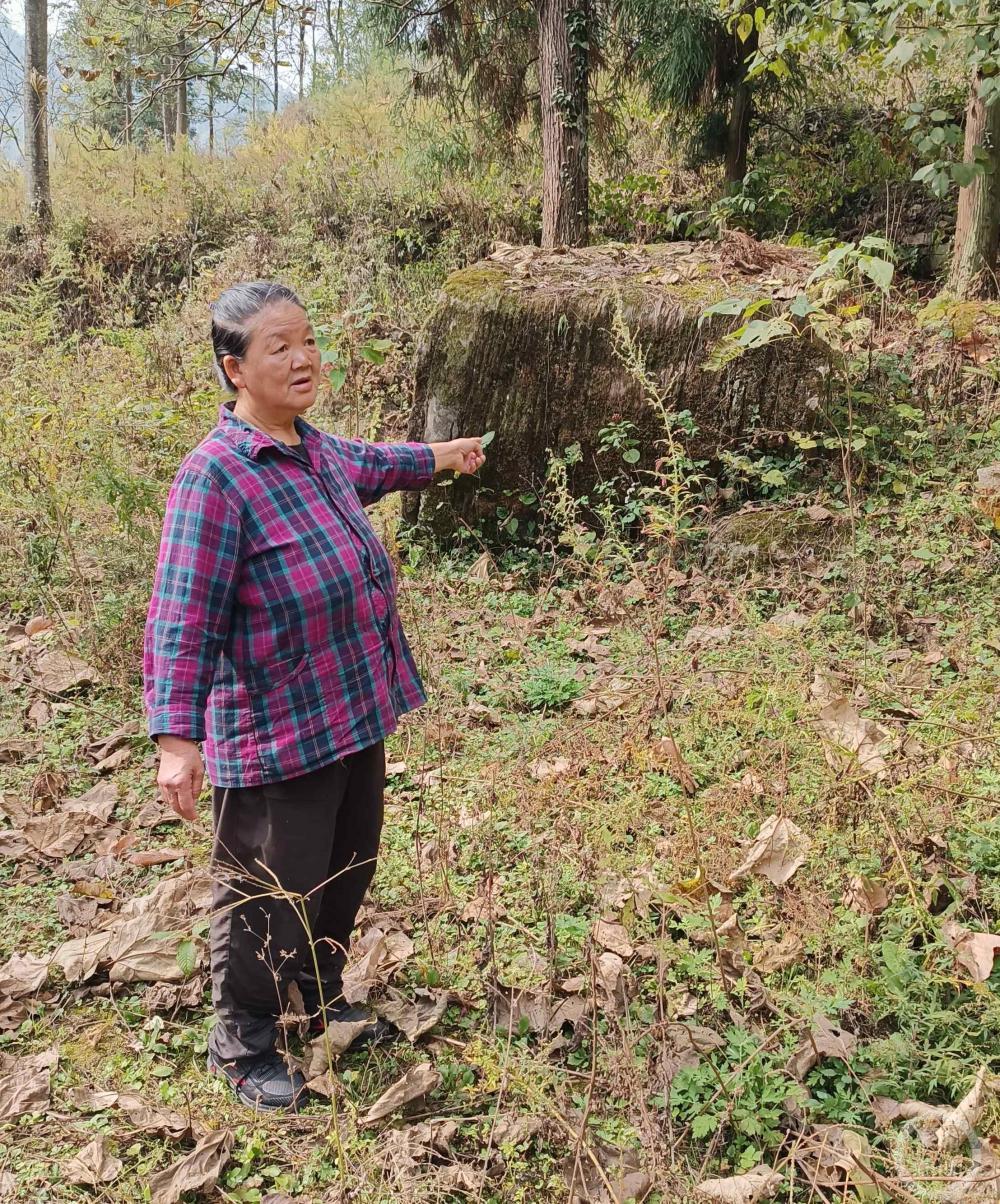 贵州一孕妇被拐卖到河北逾34年（贵州拐卖儿童）