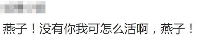 理想L9在无人陵园雷达显示全是人影？车企称可能是信号问题    