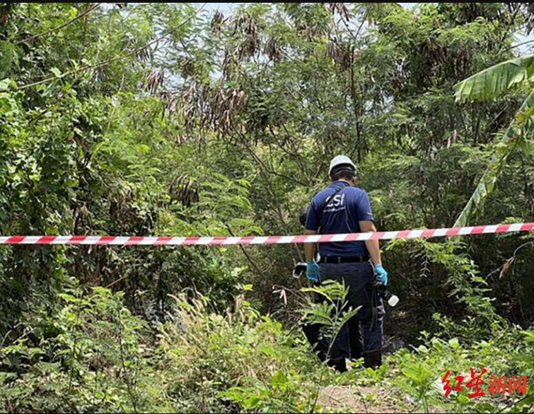 中国女留学生在泰遭绑架杀害，3嫌疑人已在湖北襄阳落网