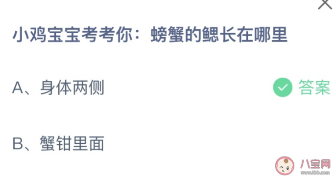 螃蟹的鳃长在哪里 螃蟹的鳃长在哪里了