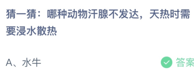 蚂蚁庄园小鸡今日最新答案：哪种动物汗腺不发达？水牛还是马