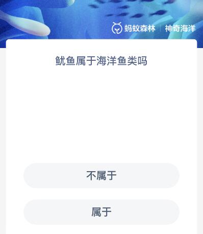鱿鱼属于海洋鱼类吗？蚂蚁森林11.14神奇海洋今日答案最新