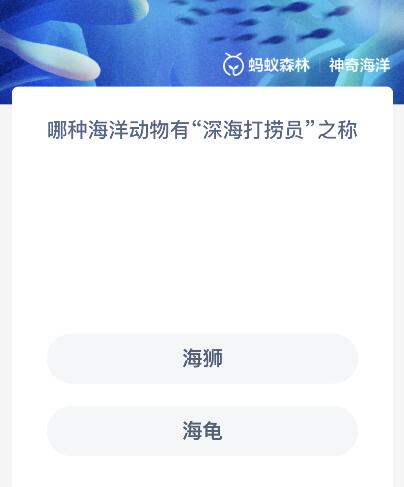 哪种海洋动物有“深海打捞员”之称？神奇海洋11.23今日答案最新