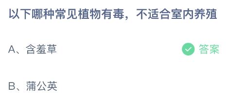 蚂蚁庄园今日答案最新：以下哪种常见植物有毒不适合室内养殖？含羞草还是蒲公英