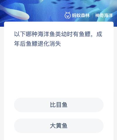 神奇海洋今日答案最新12.12：以下哪种海洋鱼类幼时有鱼鳔成年后鱼鳔退化消失？