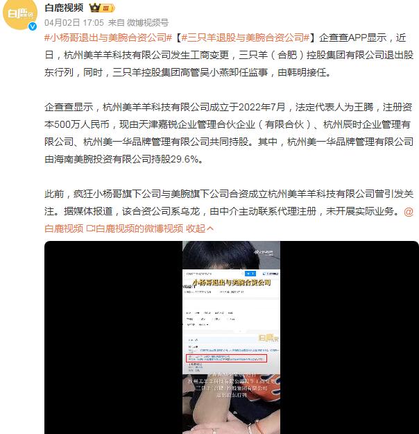 小杨哥退出与美腕合资公司 三只羊退股与美腕合资公司