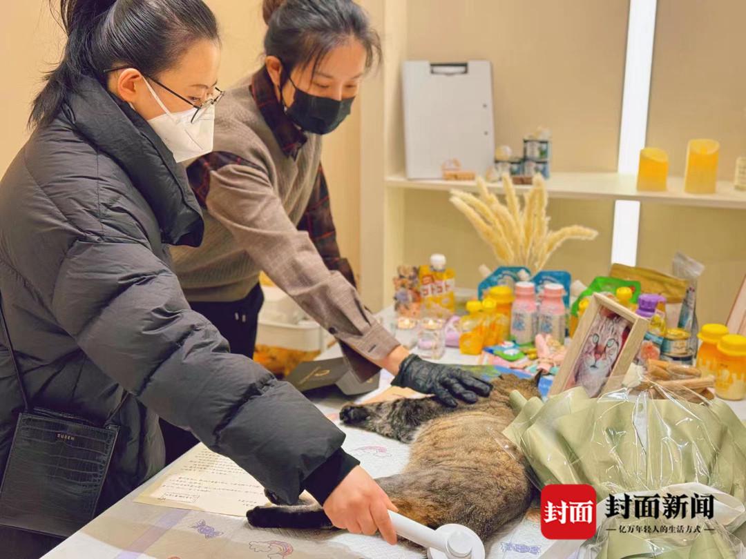 “985”硕士改行宠物殡葬师：每天面对死亡 反而获得了治愈｜新职人